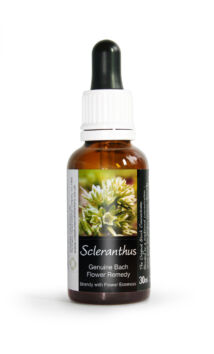 Szikárka / Scleranthus, 10 ml